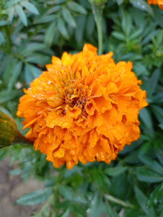 IMG20241215091619.jpg