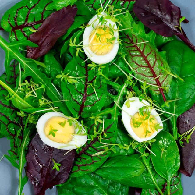 quail-eggs-boiled-lettuce-leaf-microgreen-sprouts-proper-nutrition-vegan-food-close-up-view-above-quail-eggs-boiled-215419749.jpg