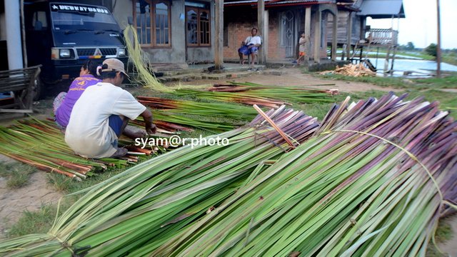 Institut_agroekologi_Indonesia_Pertanian_terapung_2.5.JPG