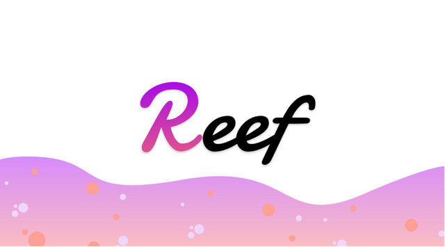 feBxkLTPRSeAFRmxuLDx_Reef_Finance.png