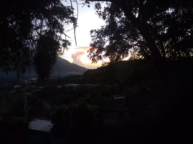 IMG_20250905_060209.jpg
