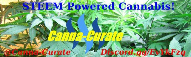 cannacurateBanner2.jpg