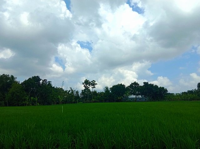 IMG_20250928_145649.jpg