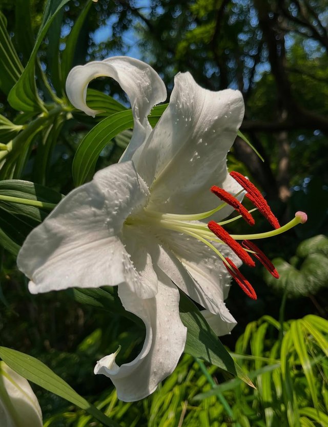 IMG_20250708_094457.jpg