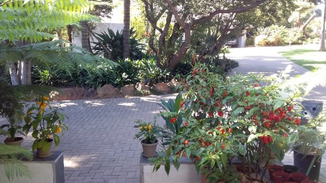 thumbnail_20200315_091558.jpg