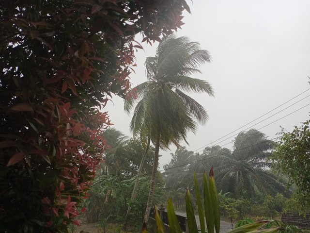 IMG20250607171229.jpg