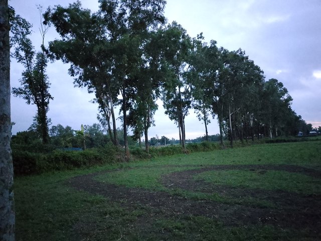 1000043785.jpg