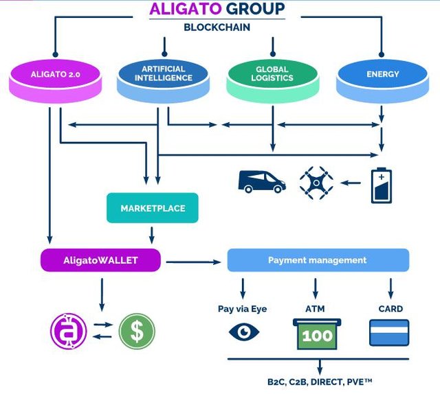 aligato group.jpg