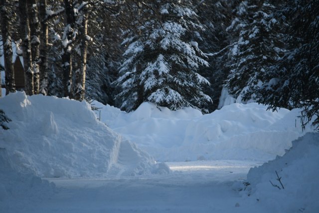 003 Driveway view zoom.jpg