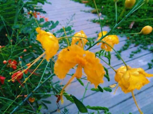 IMG_20250404_192153.jpg
