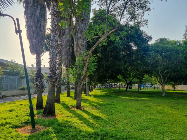 20250611_070800.jpg