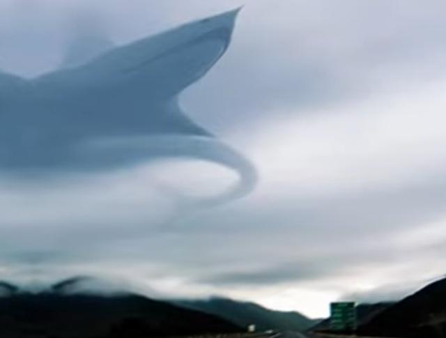Shark I.png