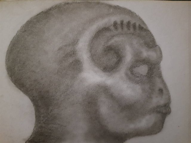 20250610_111657.jpg