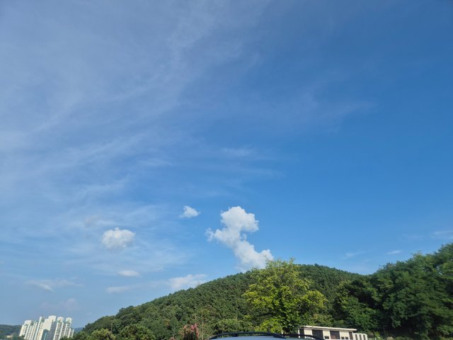 1000031636.jpg