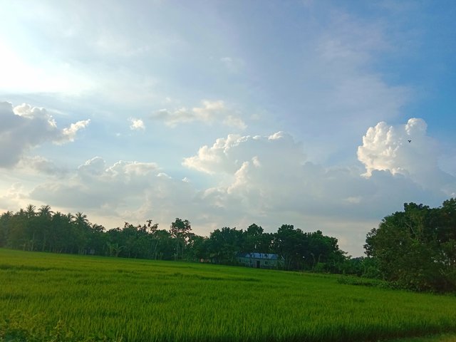 IMG_20250909_084310.jpg