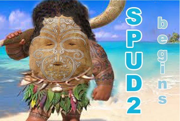 MaoriSpud.jpg