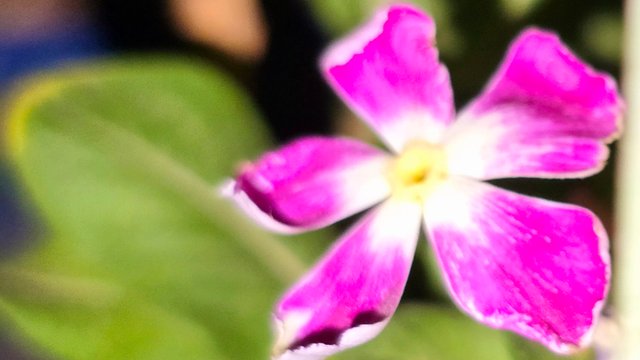 20250706_021714.jpg
