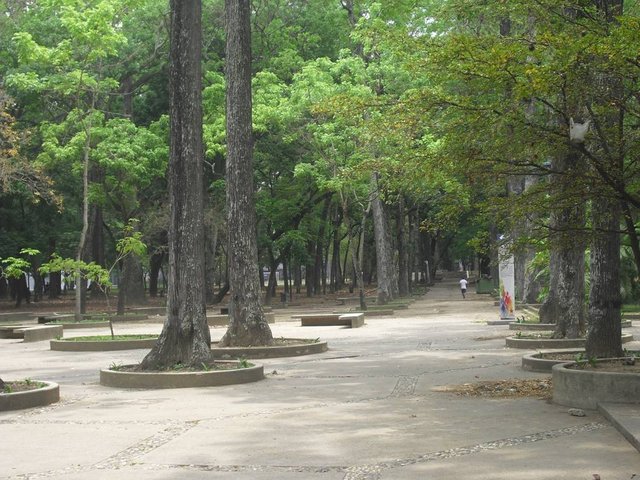 CIMG0056.JPG