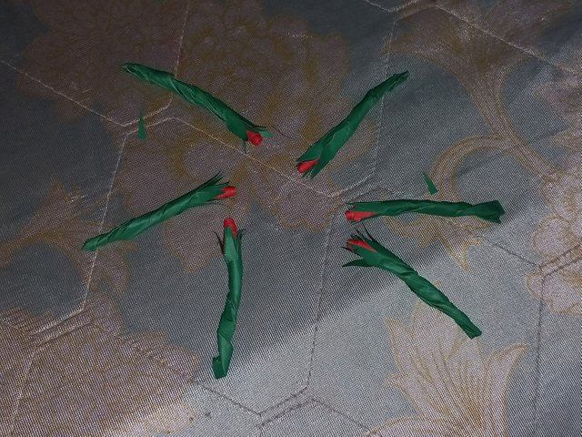 20250404_122128.jpg