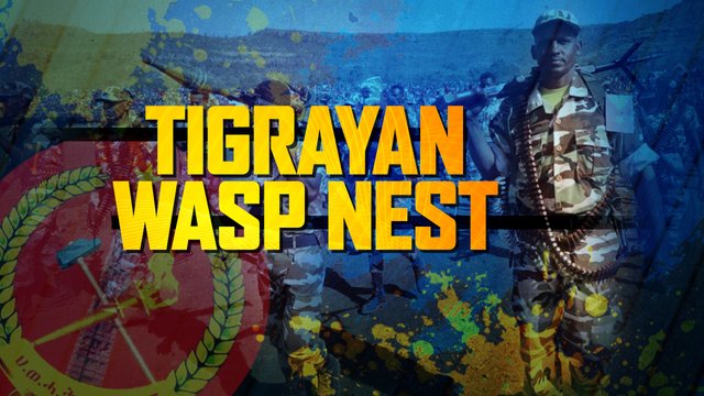 Tigrayan_Wasp_Nest.jpg