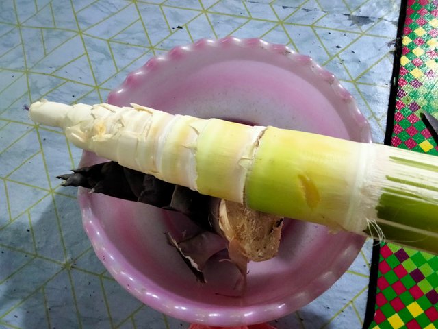 IMG20250916150605.jpg