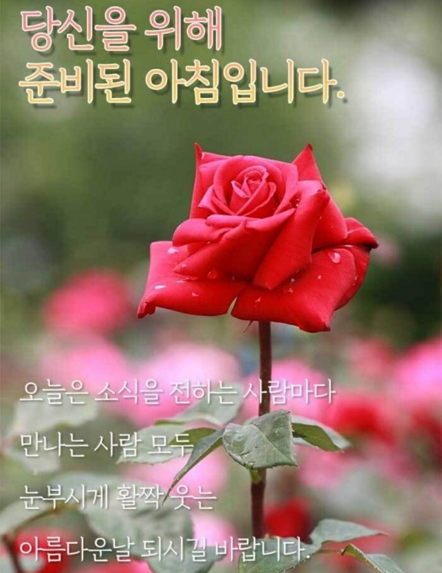 Screenshot_20211023-070842_KakaoTalk.jpg