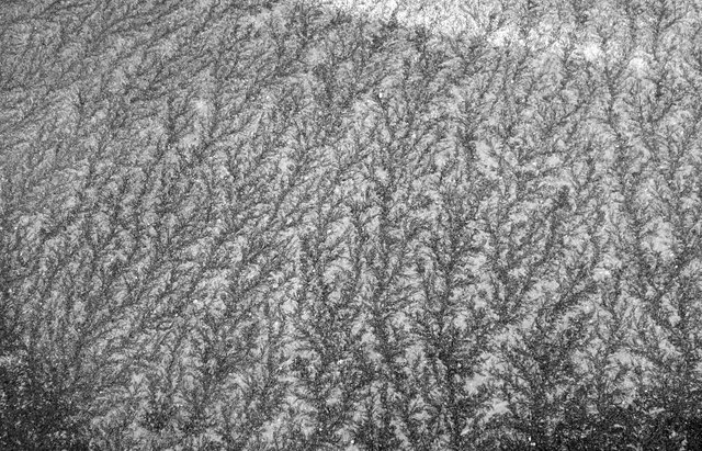 s250418-102 (1).JPG