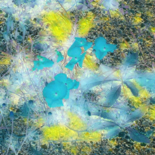 IMG0380negativeart.jpg