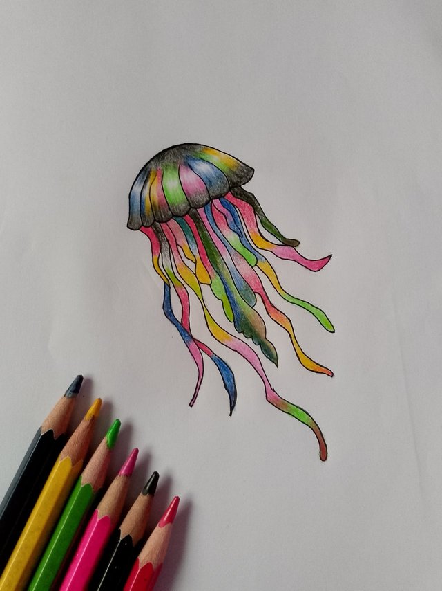 jellyfish.jpeg