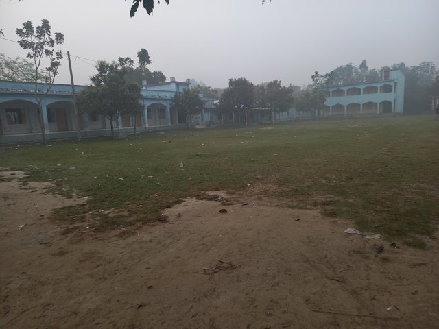 20250228_064612.jpg