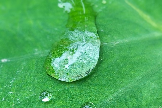 20250722_141621~2.jpg