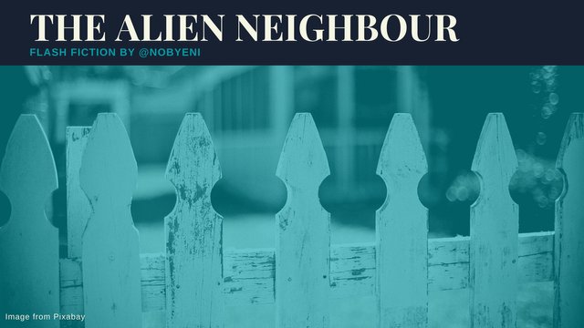 The Alien neighbour.jpg