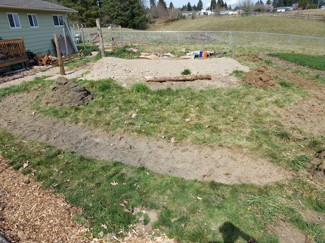 new-garden-beds-grass-removed.jpg