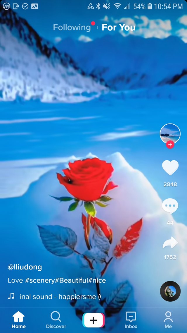 Screenshot_20230108-225424_TikTok.jpg