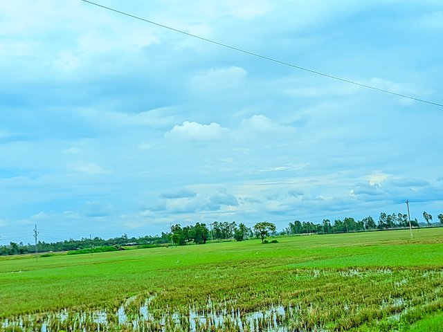 1000027710.jpg