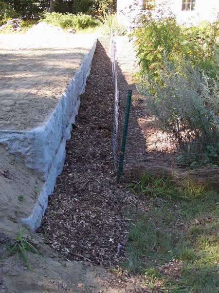 New Herb - along the wall2 crop September 2019.jpg