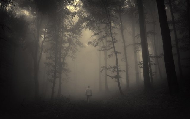 forest-trees-creepy-nature-landscape-misty-lonely-old-man-road-mood-images-209769.jpg