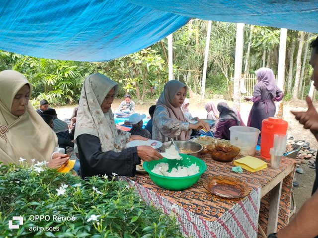 IMG20250612111522.jpg