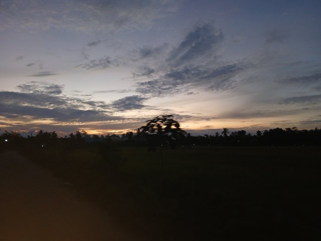 1000445065.jpg