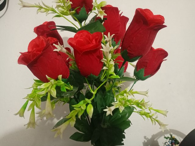 IMG_20231011_173154_418.jpg