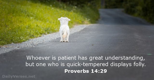 proverbs-14-29.jpg