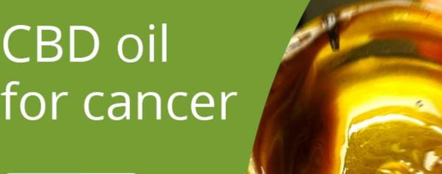 CBD-oil-to-treat-cancer.jpg