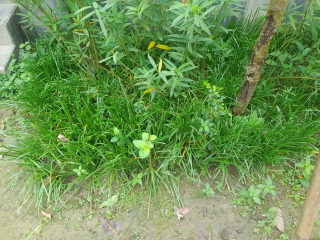 20250625_124716.jpg