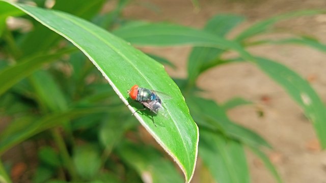 IMG20250531101748.jpg