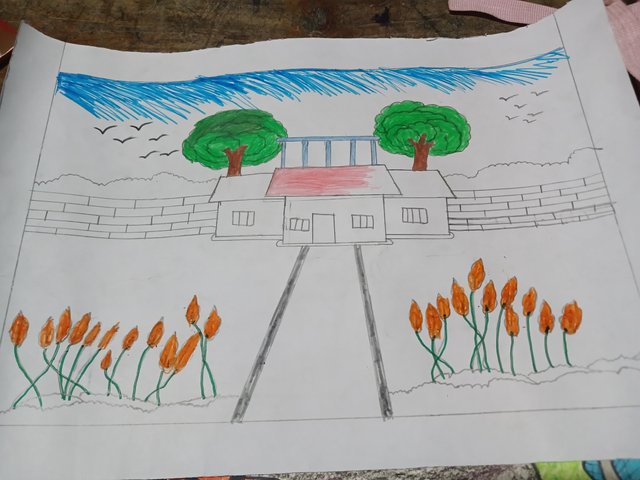 20250504_120252.jpg