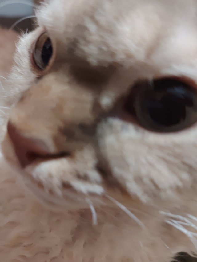 1000016728.jpg
