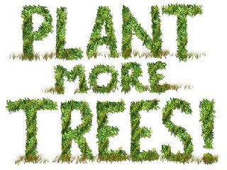 Plant More Trees.jpg