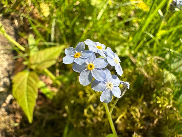 IMG_9328.jpeg