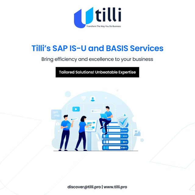 tilli's-sap-is-u-and-basis-services.jpg