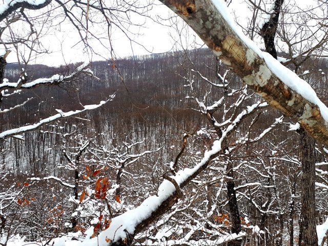 20190213_163647.jpg
